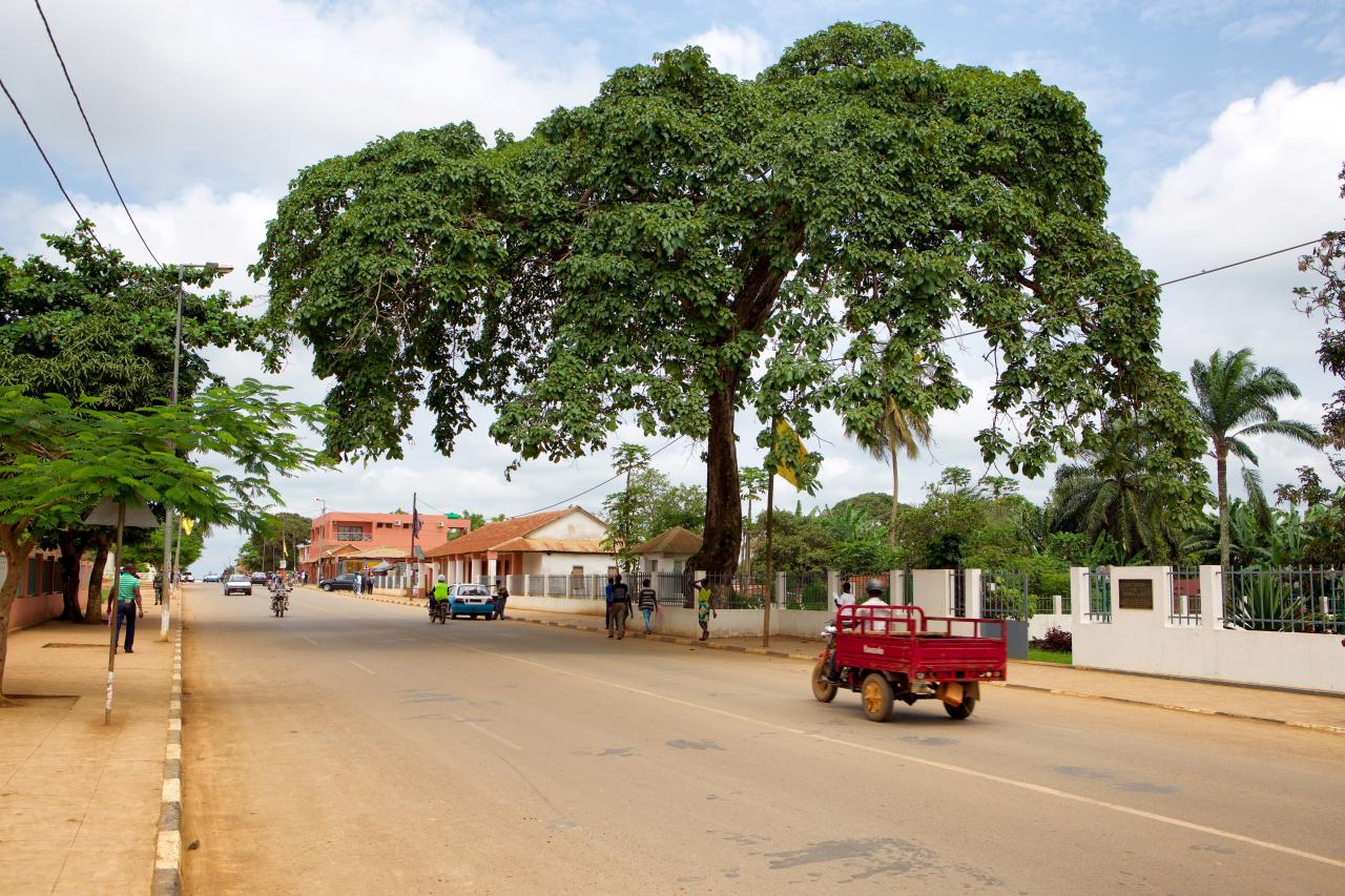 Avenida dos Monumentos und heiliger Baum Yala Nkuwu, Mbanza Kongo, Angola