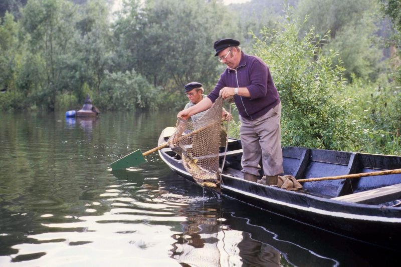 Die traditionelle Flussfischerei an der Mündung der Sieg in den Rhein