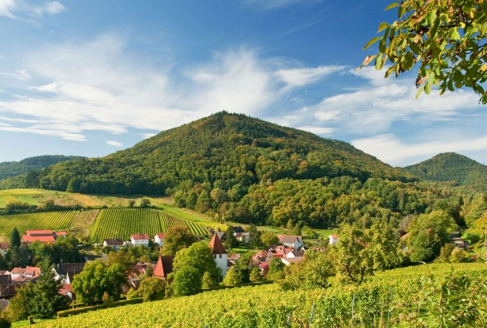 UNESCO Biosphere Reserve Palatinate Forest (Pfälzerwald) and Northern  Vosges | German Comission for UNESCO