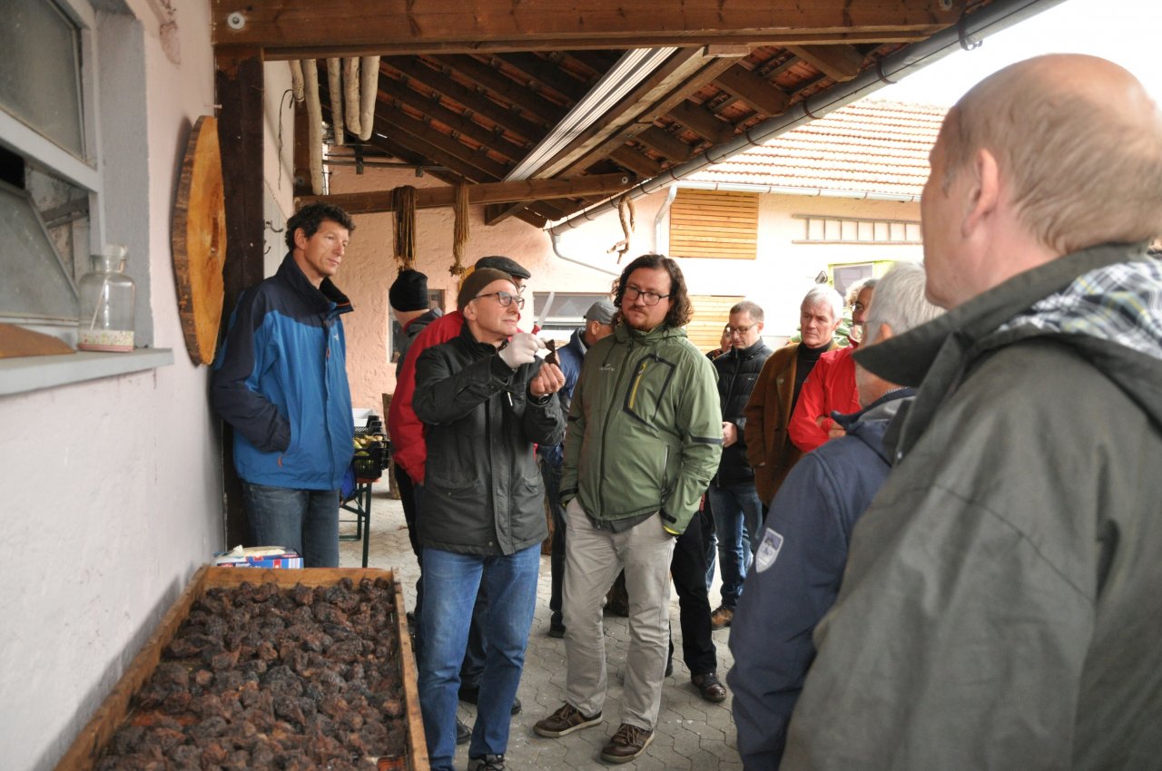 Baumfelderwitschaft und traditionelle Dörrobstherstellung im Steigerwald