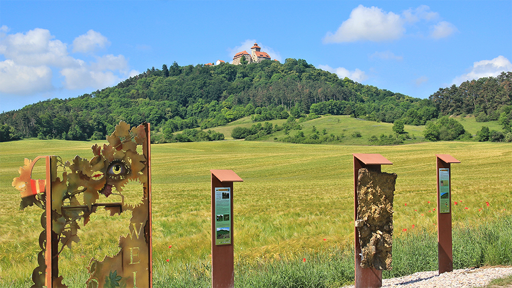  Geo- und Freizeitpfad mit Blick auf die Veste Wachsenburg 