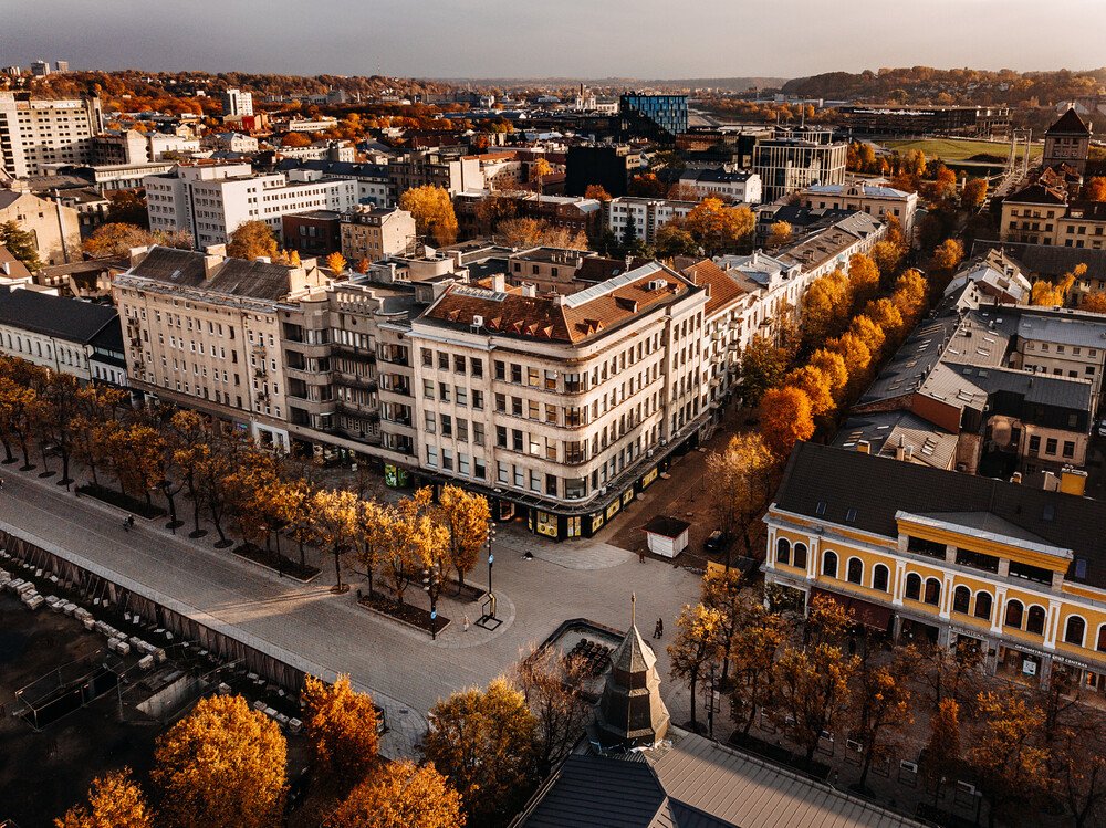 Vogelperspektive auf Kaunas. Im Zentrum eine Ecke einer Häuserzeile. Jeweils neben der Häuserzeile eine zweispurige Allee mit Bäumen, die ihr Herbstlaub tragen.