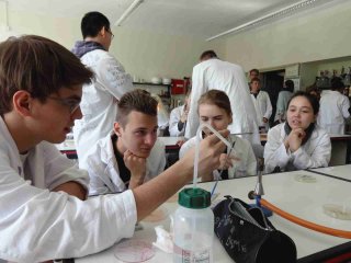 Schülerinnen und Schüler untersuchen Bakterien im Trinkwasser