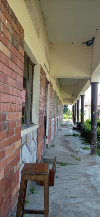 Spinnen und Vögel erobern die verlassenen Schulgebäude
